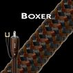 AudioQuest - Boxer Subwoofer