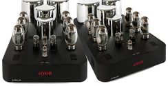 Ayon Audio - EPSILON EVO (MONO)