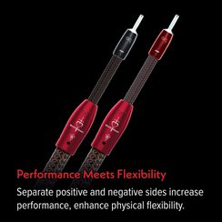 AudioQuest - Brave Heart 72V DBS