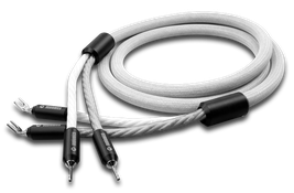 Audiomica Laboratory - Miamen Consequence